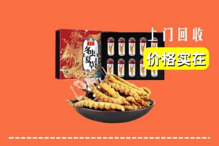 埇桥区回收冬虫夏草